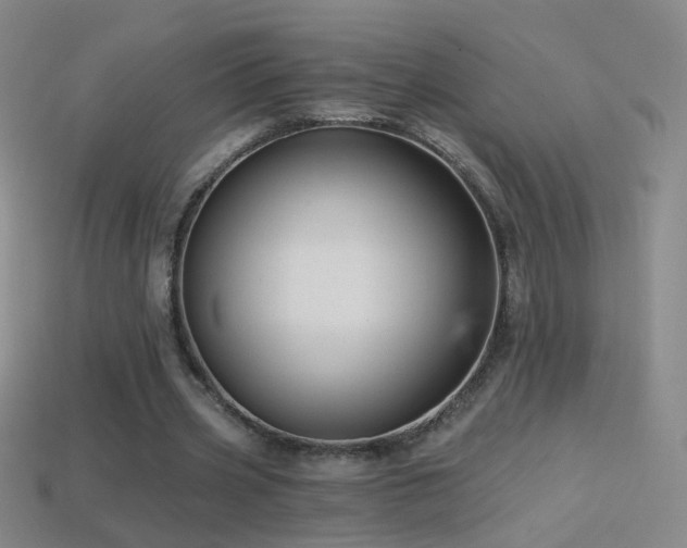 X0000114400533200910161317