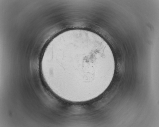 X0000114400534200910161317