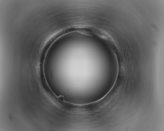 X0000114400535200910161317