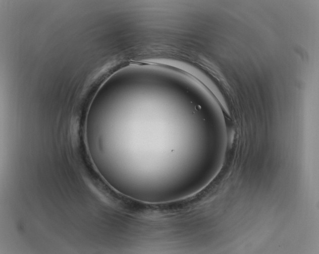 X0000114400538200910161317