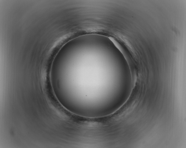 X0000114400539200910161317