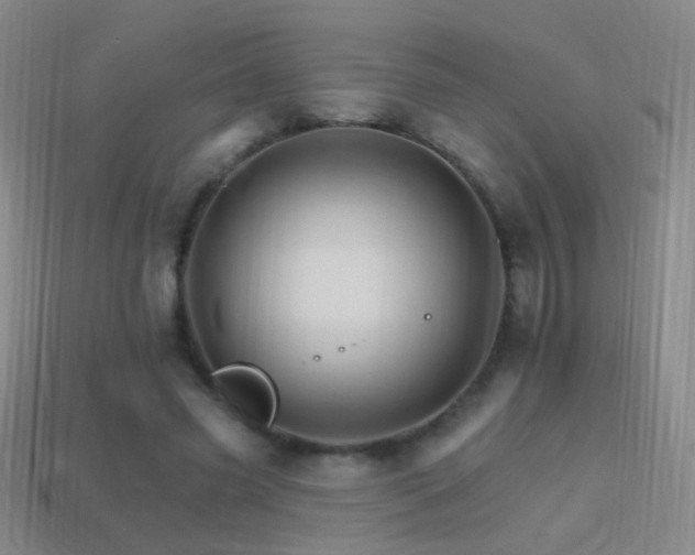 X0000114400541200910161317