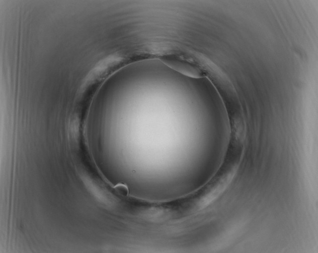 X0000114400542200910161317