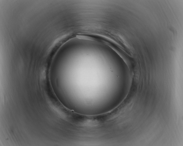 X0000114400543200910161317