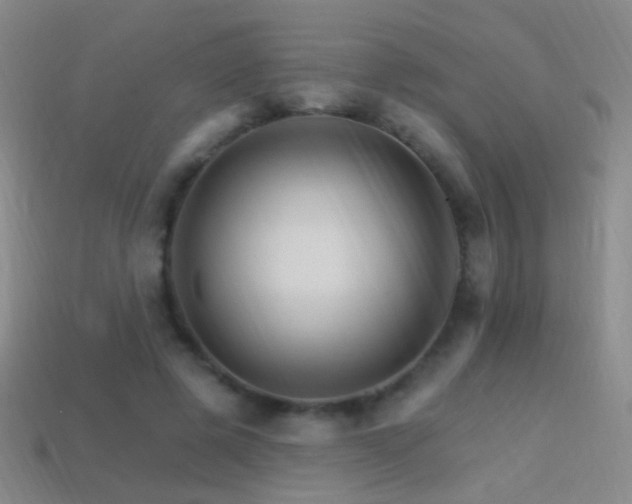 X0000114400545200910161317