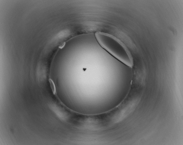 X0000114400546200910161317