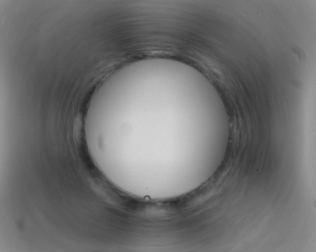 X0000114400550200910161317