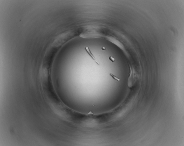 X0000114400551200910161317