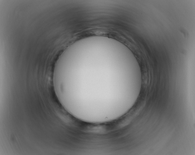 X0000114400553200910161317