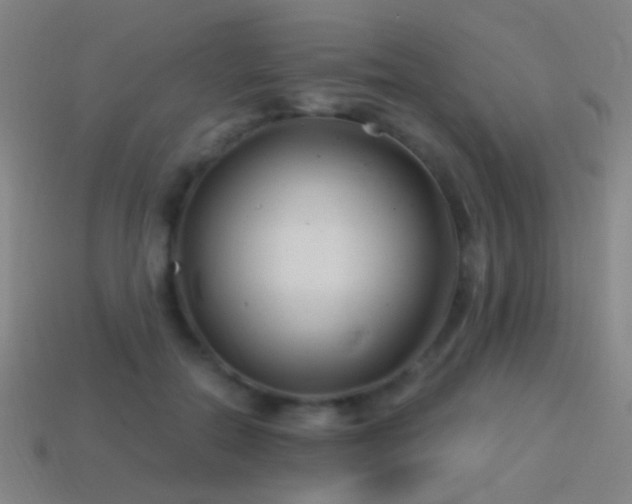 X0000114400554200910161317