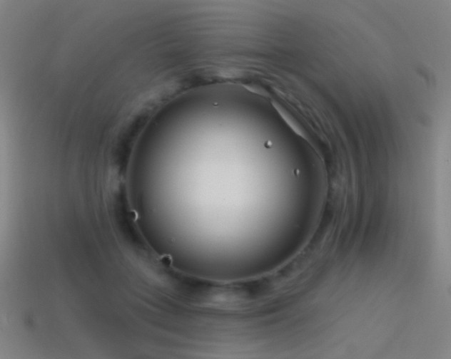 X0000114400555200910161317