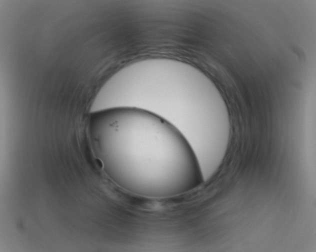 X0000114400558200910161317