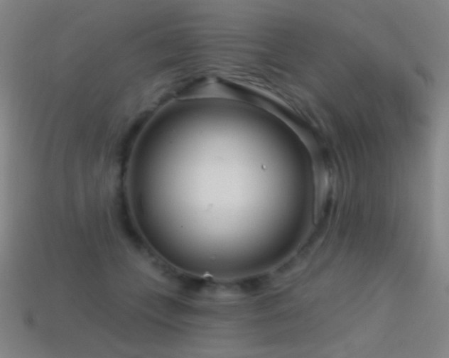 X0000114400559200910161317