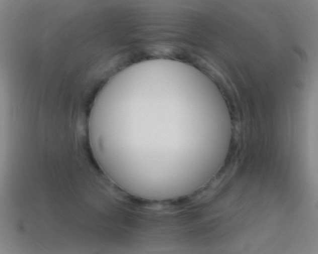 X0000114400561200910161317