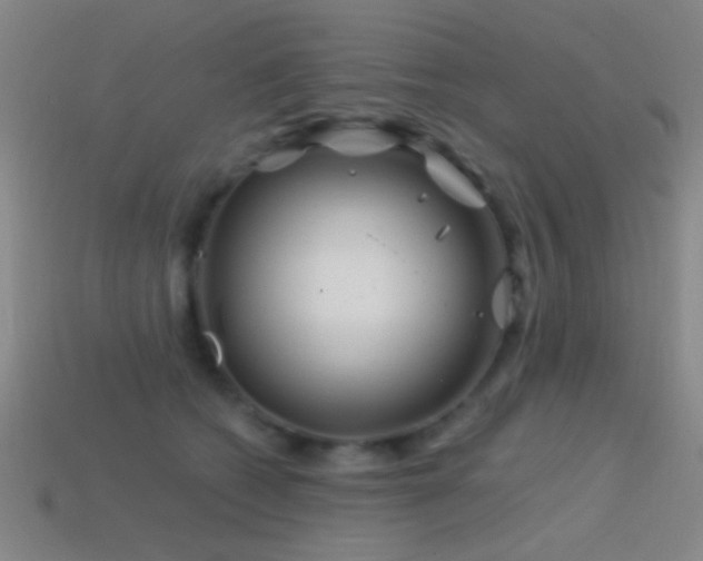 X0000114400562200910161317