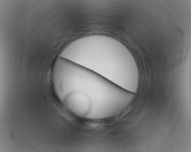 X0000114400563200910161317