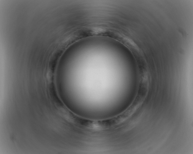 X0000114400565200910161318