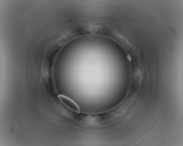 X0000114400566200910161318