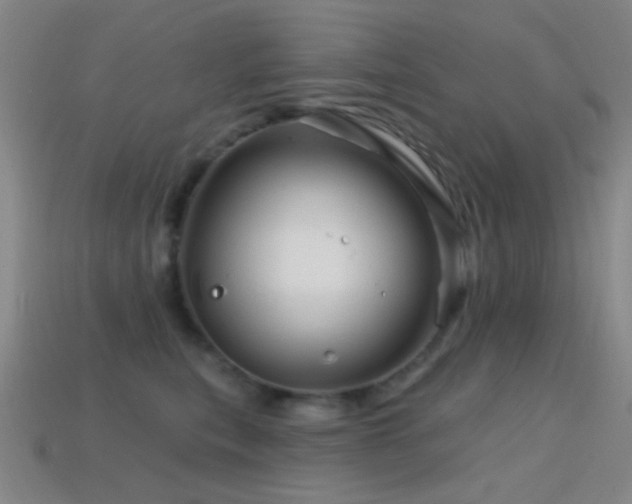 X0000114400567200910161318