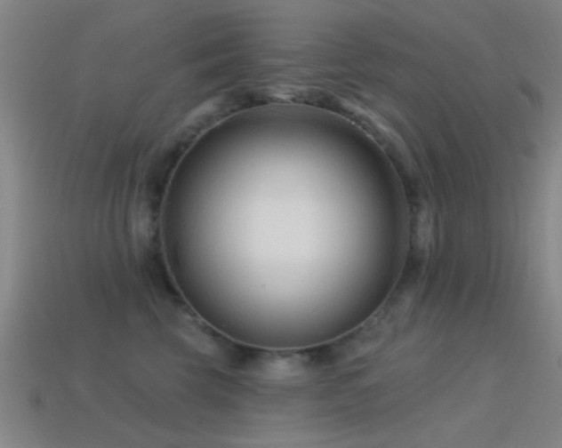 X0000114400569200910161318