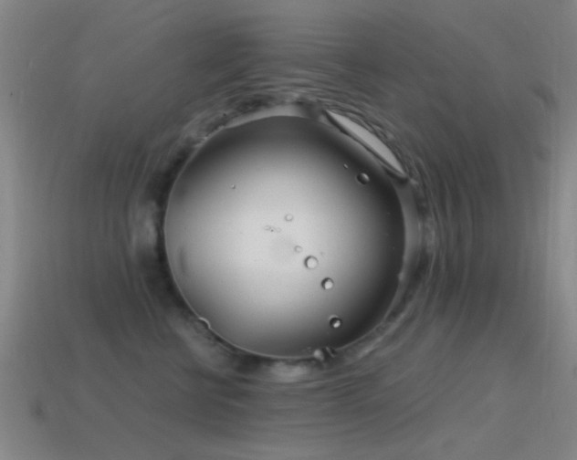 X0000114400570200910161318