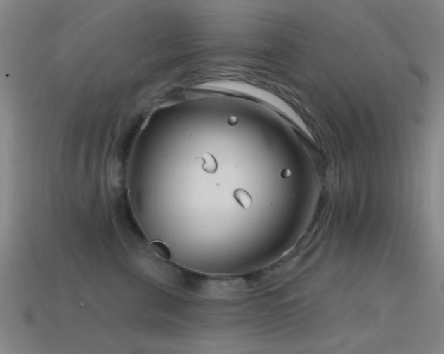 X0000114400571200910161318