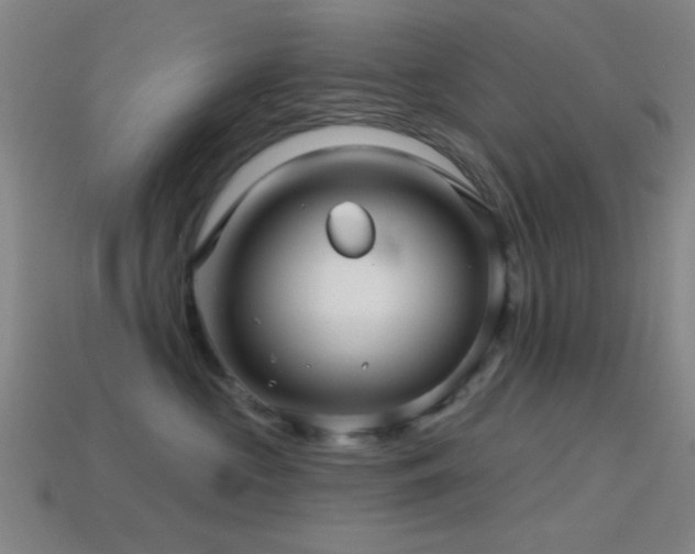 X0000114400573200910161318