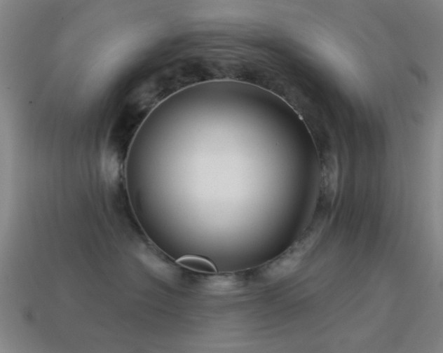 X0000114400574200910161318