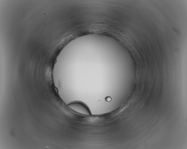 X0000114400575200910161318