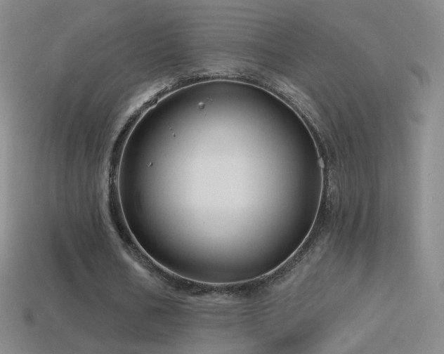 X0000114400578200910161317