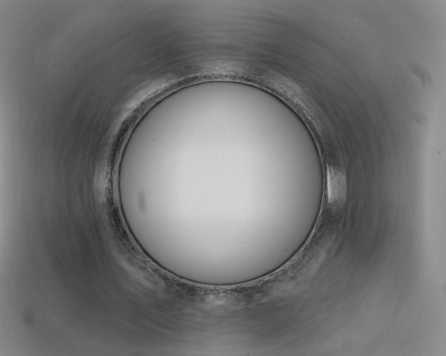 X0000114400579200910161317