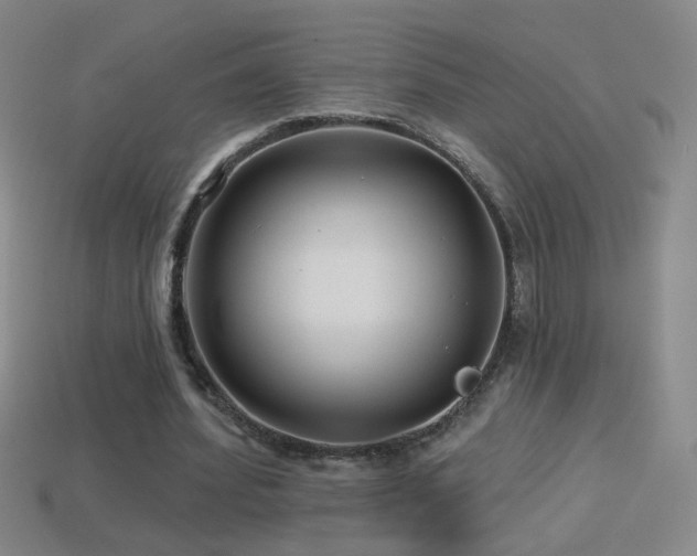 X0000114400580200910161317