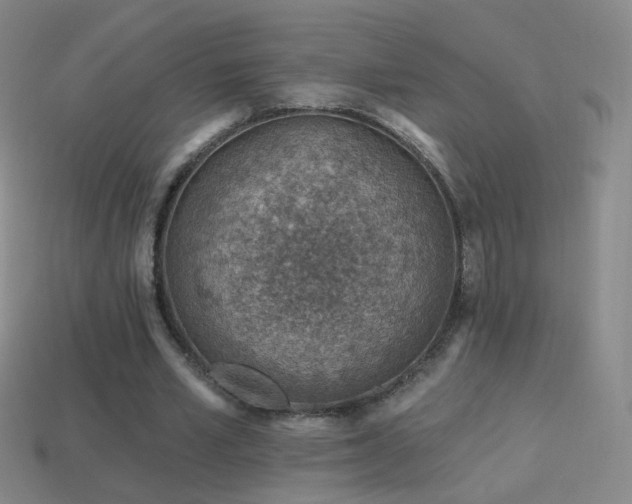 X0000114400581200910161317