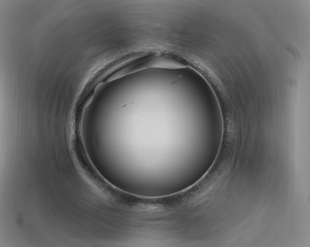 X0000114400582200910161317