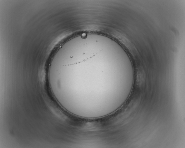 X0000114400584200910161317