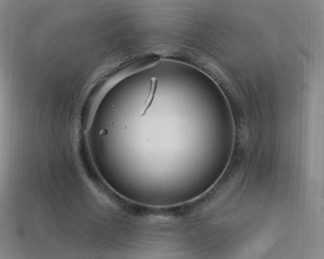 X0000114400586200910161317