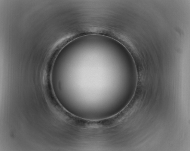 X0000114400587200910161317