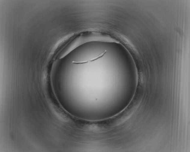 X0000114400588200910161317