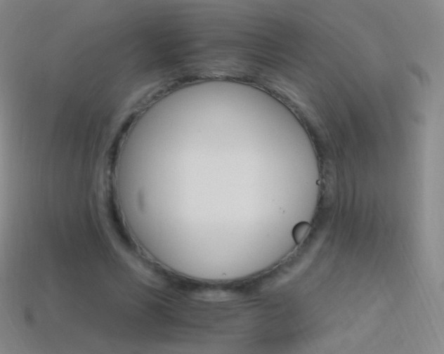 X0000114400590200910161317