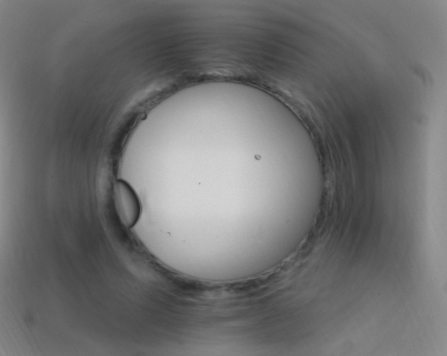 X0000114400591200910161317