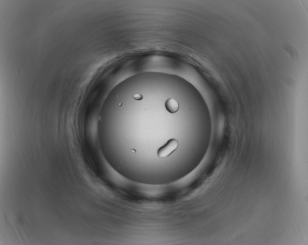 X0000114400592200910161317