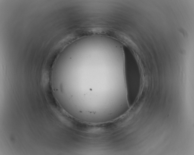 X0000114400593200910161317