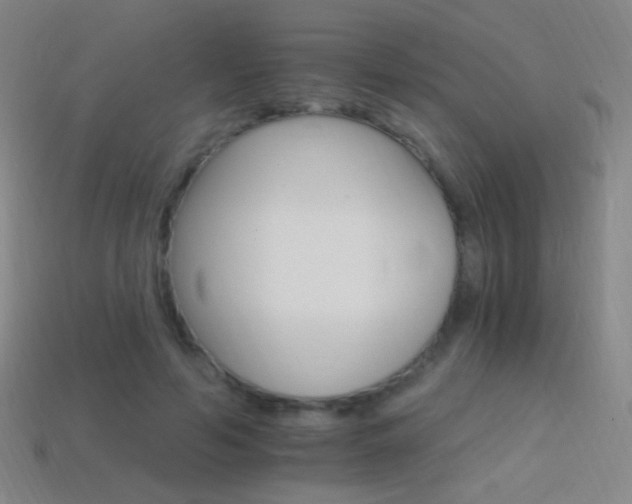 X0000114400594200910161317