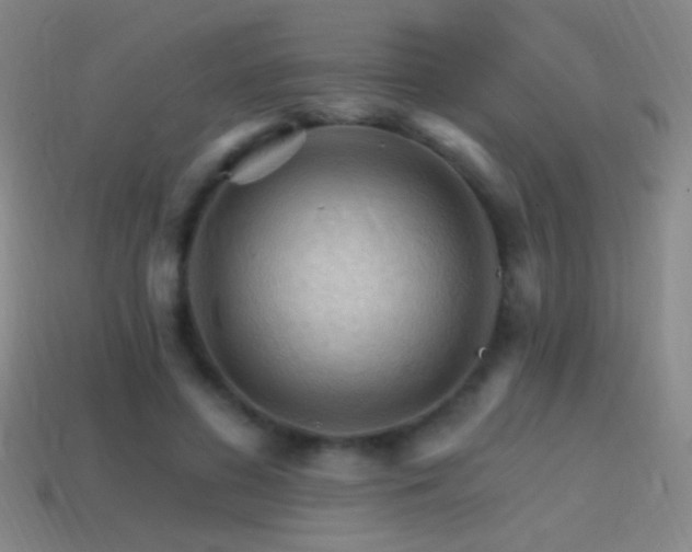 X0000114400596200910161317