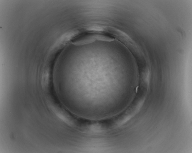 X0000114400600200910161317