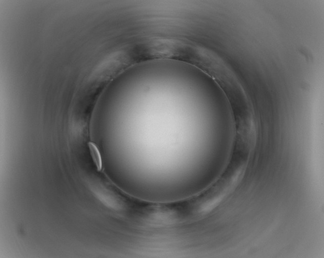 X0000114400601200910161317