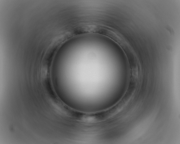 X0000114400602200910161317