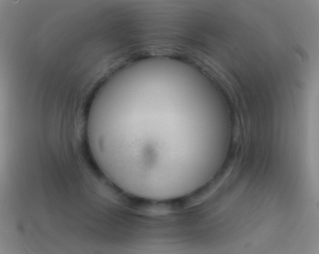 X0000114400604200910161316