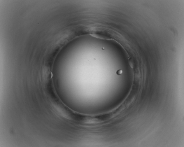 X0000114400605200910161316