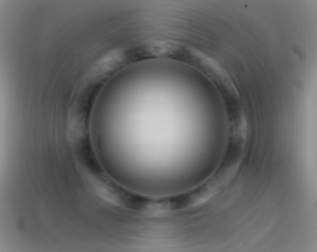 X0000114400606200910161316